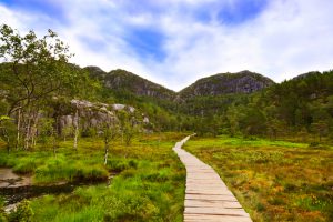Mountains on the way to the Cliff Preikestolen in fjord Lysefjord - Norway - nature and travel background